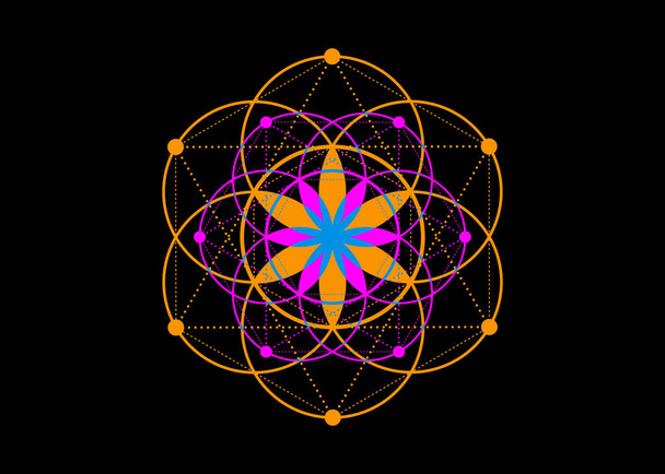 Semena života symbol posvátné geometrie. Geometrická mystická mandala alchymie esoterický květ života. Barevný módní vektor božské meditační amulet izolované na černém pozadí - Vektor, obrázek