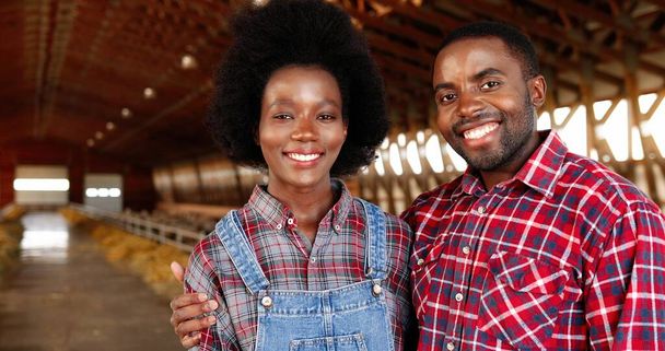 Portrait of happy African American young couple of farmers standing together in hugs in sheep farm shed. Beautiful woman and handsome man hugging in stable. Dolly shot. Male and female joyful workers. - Φωτογραφία, εικόνα