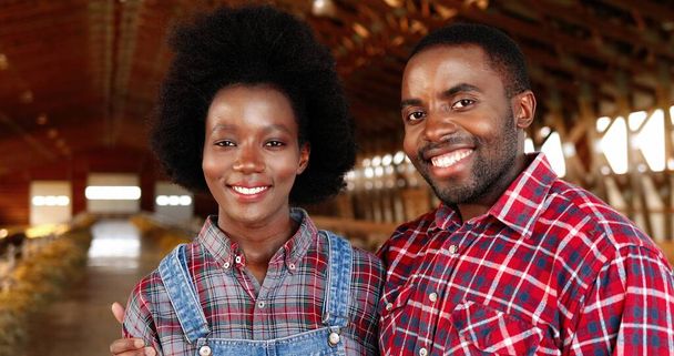 Portrait of happy African American young couple of farmers standing together in hugs in sheep farm shed. Beautiful woman and handsome man hugging in stable. Dolly shot. Male and female joyful workers. - Photo, image