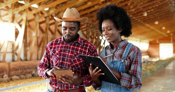 African American couple of male and female farmers standing in barn with sheep flock, talking and using tablet device. Shepherds in stable with livestock, having conversation and tapping on gadget. - Фото, изображение
