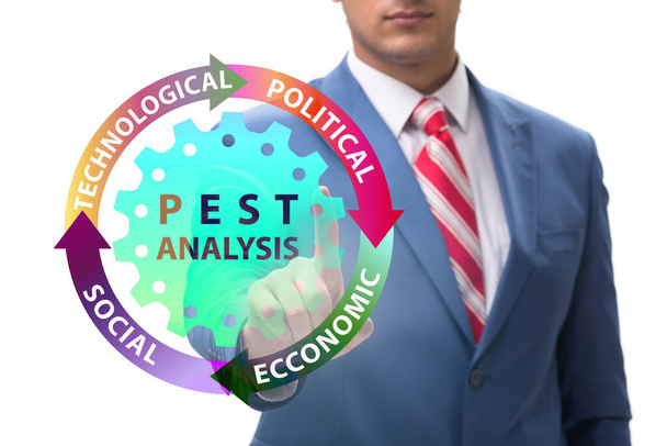 PEST分析ビジネスコンセプトのビジネス人 - 写真・画像