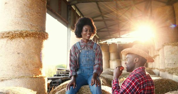 Cheerful African American couple of farmers sitting on hay stocks and talking happily in sunlight of sunset. Rest after working day at farm. Joyful young man and woman chatting and speaking smiling. - Fotoğraf, Görsel