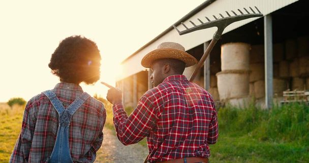 Rear on African American couple of farmers walking in countryside with pitchfork outside and talking on sunset or sunrise. Back view on man and woman, farm workers strolling to work or coming back. - Fotoğraf, Görsel