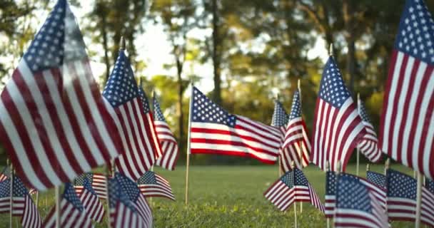 Venku ve slunečních řadách pomalu se vlnících amerických vlajek, se zaměřením na jednu vlajku USA vlající ve větru. Vlastenecká koncepce pro svátky v USA, 4. července, Den obětí války nebo Den veteránů. - Záběry, video
