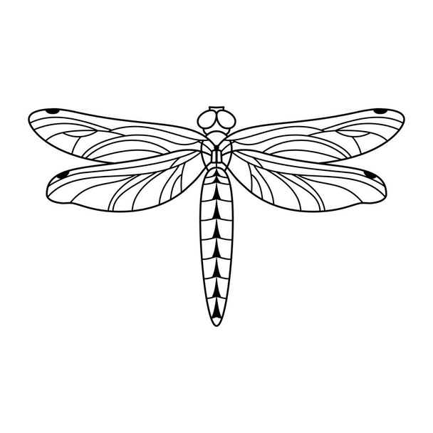 Icono de libélula en un estilo minimalista lineal de moda. Esquema vectorial Emblema del insecto con alas para crear logotipos de salones de belleza, manicuras, masajes, spas, joyas, tatuajes y artistas hechos a mano. - Vector, Imagen