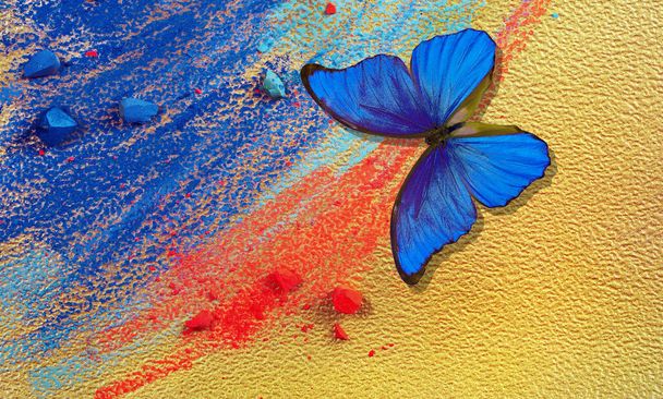 goud en blauwe achtergrond. kleurrijke blauwe morpho vlinder, blauwe en rode pastelkrijtjes op goud papier - Foto, afbeelding