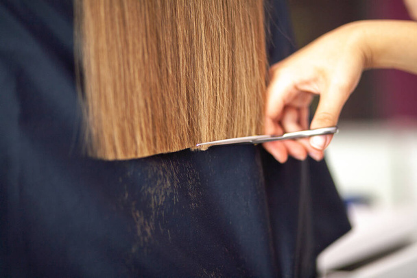 Friseur schneidet lange blonde Haare, Schönheitssalon, Damenhaarpflege - Foto, Bild