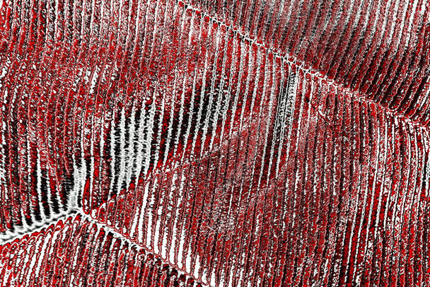クリムゾン赤と黒のグランジーの壁、テクスチャの背景 - 写真・画像