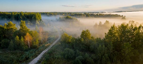 早朝の風景。霧の森だ。日の出には濃い霧の中で森を横断歩道。上からの眺め - 写真・画像