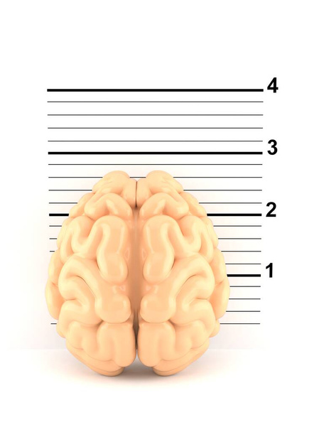 Мозок на кухольці ізольований на білому тлі. 3d ілюстрація
 - Фото, зображення