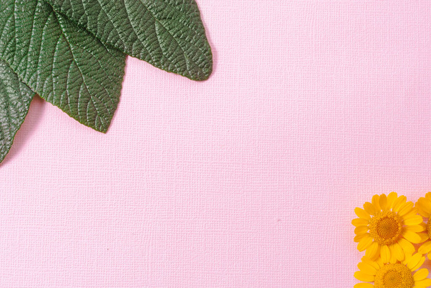On a pink textural background, the leaves of viburnum crinkle-leaved and yellow flowers of pupavka dye. The leaves are located in the upper-left corner, the flowers in the lower-right corner. - Photo, image