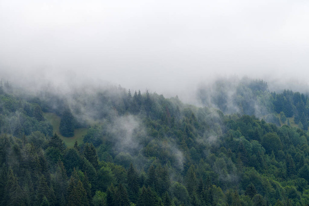Majestic view on beautiful fog and cloud mountains in mist landscape. Summer time after rai - Valokuva, kuva