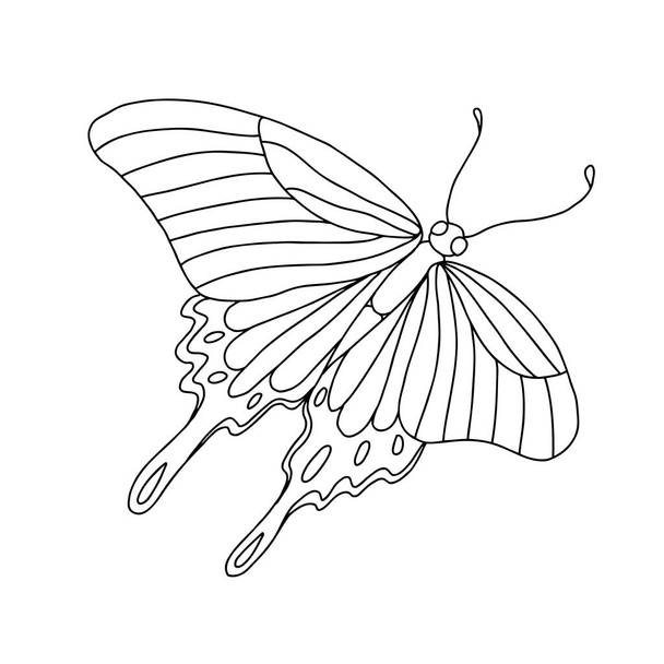 Isolated black and white butterfly on a white background. Vector illustration. - Διάνυσμα, εικόνα
