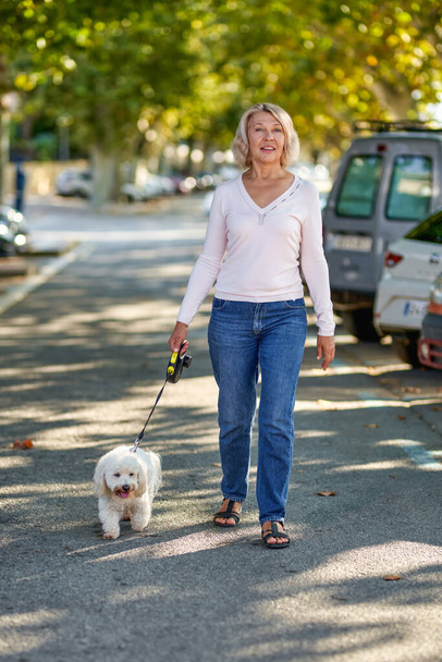 Starsza kobieta spacerująca z psem na zewnątrz. - Zdjęcie, obraz