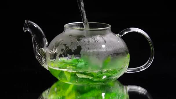 Nalévání horké vody do skleněné konvice na černém pozadí, zelený mátový čaj - Záběry, video