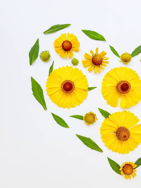 Yellow rudbekia flowers or coneflowers scattered on a white background in the form of a circle. The concept of love and health. - Foto, Imagem