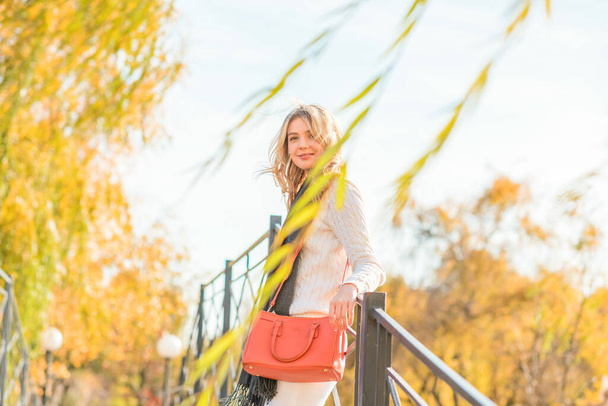 Podzimní zlatý čas, portrét módní ženy v parku venku - Fotografie, Obrázek