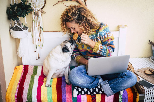Jovem bonita alegre compartilhar um biscoito com seu cachorro engraçado e adorável enquanto trabalha com computador portátil em casa em uma capa colorida  - Foto, Imagem