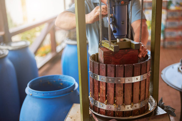 Travailleur faisant le processus de pressage du raisin pour faire du vin - Photo, image