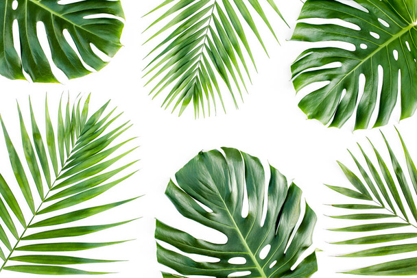 Background, pattern with exotic tropical palm leaves monstera on white background. Flat lay, top view. - Foto, Imagen