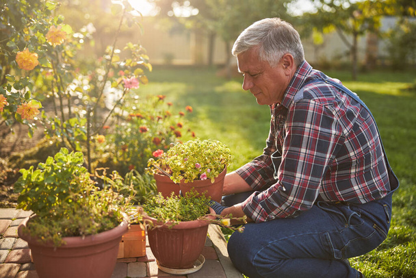 Senior citizen kneeling and holding a blooming potted flower - Foto, Bild