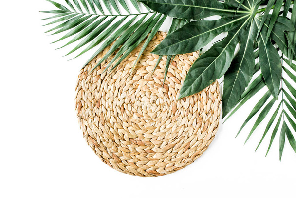 Tropical palm leaves Aralia isolated on white background. Tropical nature concept. - Fotoğraf, Görsel