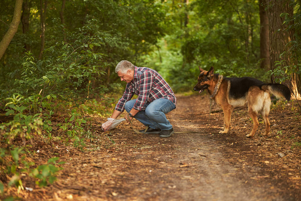 Hundebesitzer putzt nach seinem Schäferhund - Foto, Bild