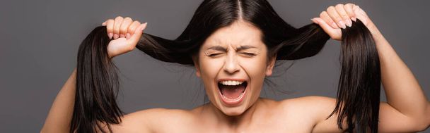 гола засмучена брюнетка жінка тримає пошкоджене волосся і кричить ізольовано на чорному, панорамний знімок
 - Фото, зображення