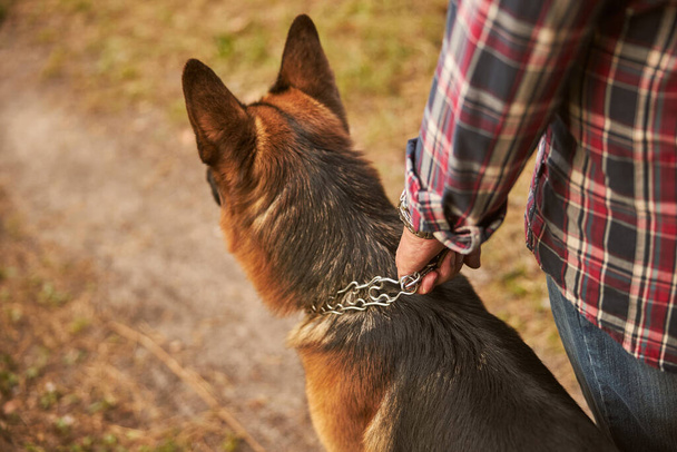 Mann fesselt seinen Schäferhund am Halsband - Foto, Bild