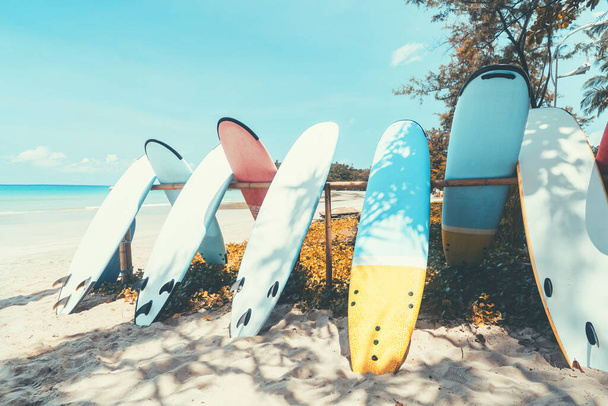 Tavola da surf sulla spiaggia tropicale con sfondo cielo blu. Vacanza estiva e sport concetto estremo. Vintage tono effetto filtro colore stile. - Foto, immagini