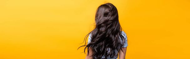 Rückenansicht des Windes, der durch brünettes Haar einer Frau mit Locken weht, vereinzelt auf gelbem Grund, Panoramaaufnahme - Foto, Bild