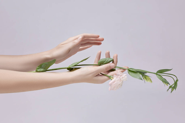 Beauty woman with pink flowers in her hand. Natural cosmetic for hand skin care. Hand hydration and anti-wrinkle and anti-aging treatment - Foto, imagen