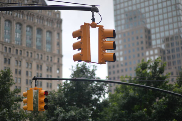Traffic light on city street - 写真・画像