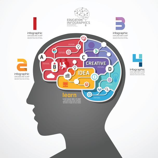 Infográfico Modelo cérebro linha social link conceito
 - Vetor, Imagem
