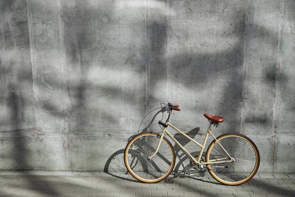 Imagen del transporte ecológico en la gran ciudad es la bicicleta - Foto, imagen