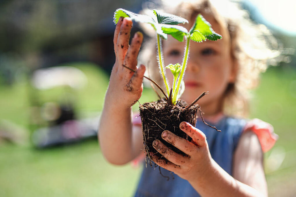 Small girl with dirty hands outdoors in garden, sustainable lifestyle concept. - Φωτογραφία, εικόνα