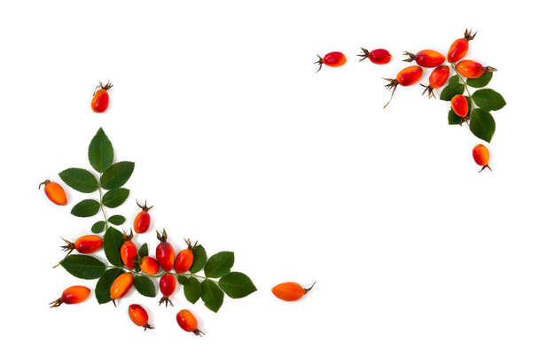 新鮮な赤い果実の犬は、白い背景に葉を持つブライアー(ローザrubiginosa 、バラのヒップ)をバラしました。トップビュー、フラットレイアウト - 写真・画像
