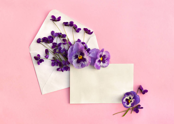 Hermosas flores de primavera violeta salvaje y viola tricolor, en sobre postal y hoja en blanco con espacio para el texto sobre un fondo de papel rosa - Foto, Imagen