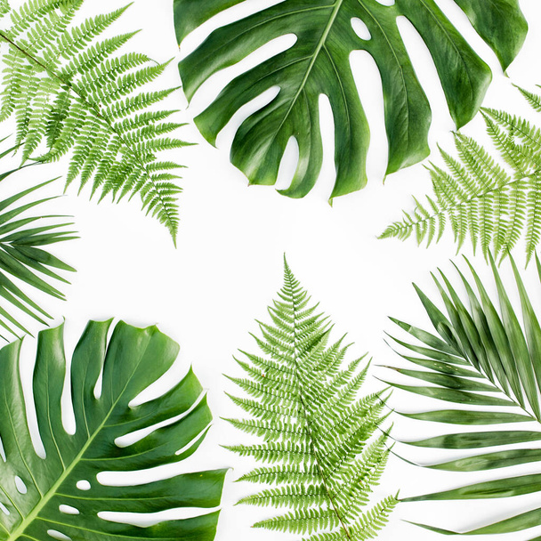 Background, pattern with exotic tropical palm leaves monstera on white background. Flat lay, top view. - Φωτογραφία, εικόνα