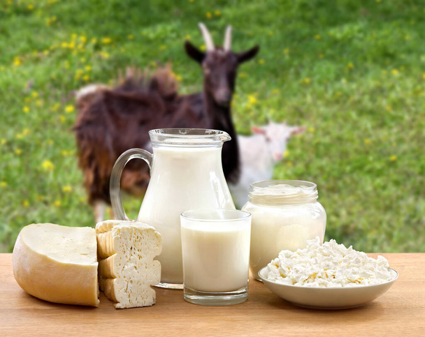 ヤギとヤギの牧草地の背景にある木製のテーブルの上のミルク、チーズ、コテージチーズ、サワークリーム - 写真・画像