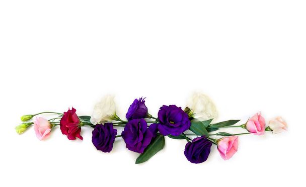 Bouquet of violet, white, pink and red flowers Eustoma (common names: Texas bluebells, bluebell, lisianthus, prairie gentian) on a white background with space for text. Top view, flat lay - Foto, afbeelding
