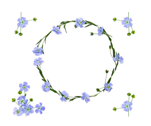 Virágok és kapszulák koszorúja lennel (Linum usitatissthe, közönséges len vagy lenmag) fehér alapon, szöveges szöveggel. Felülnézet, lapos fektetés - Fotó, kép