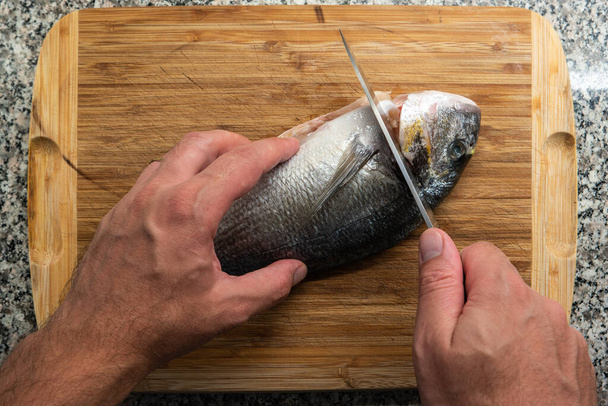 Kaukasische männliche Hand hält ein Küchenmesser in der Hand und bereitet sich darauf vor, einen gefrorenen rohen Doradenfisch auf einer Arbeitsplatte aus Granit zu schneiden und auszunehmen 2020 - Foto, Bild