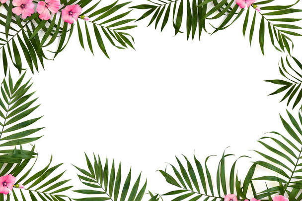 Tropical leaves palm tree and pink flowers malva on a white background. Top view, flat lay - Valokuva, kuva