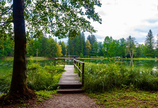 romantic wooden bridge in a green park - Zdjęcie, obraz