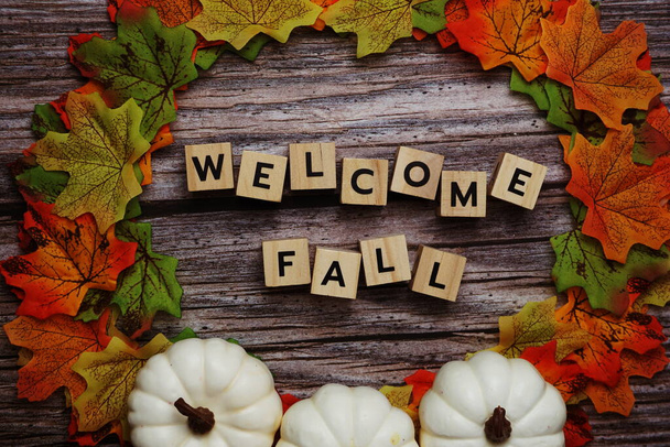 Welcome Fall message alphabet letter on wooden background - Foto, Bild