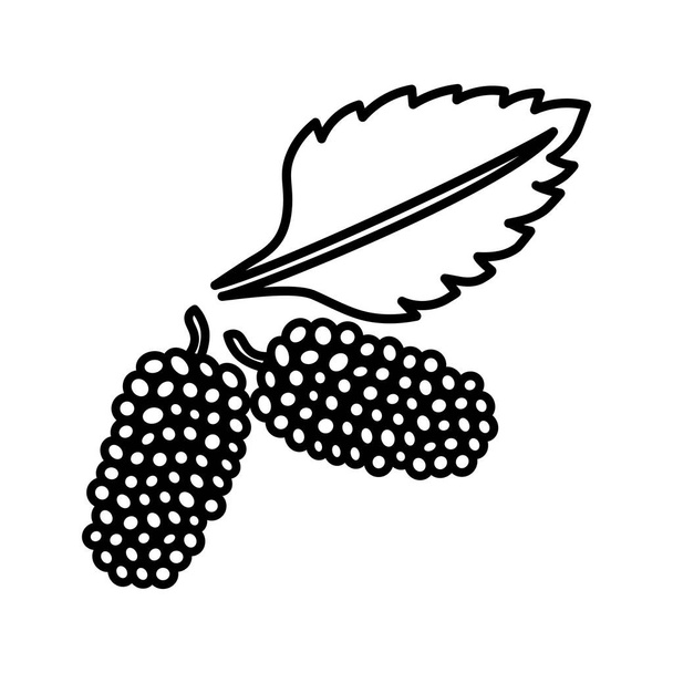 Mulberry απλή απεικόνιση διάνυσμα περίγραμμα σε λευκό φόντο - Διάνυσμα, εικόνα