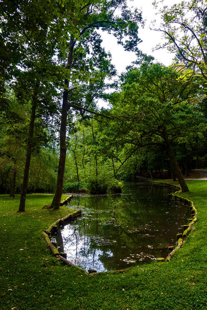 Silent river in the park - Foto, afbeelding
