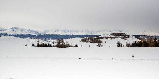 View of Ulagan Highlands in Altay mountains in the winter, Siberia, Russia - Foto, Imagen