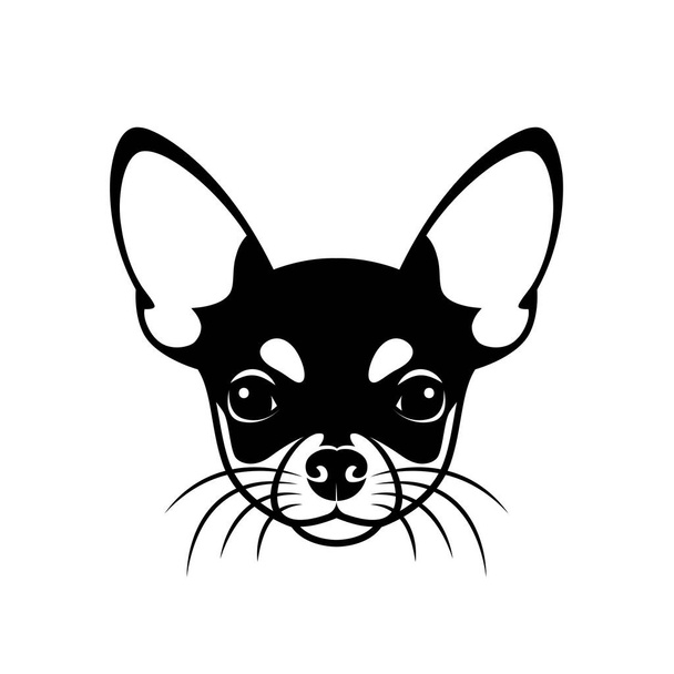 Chihuahua dog vector illustration  - Vector, imagen